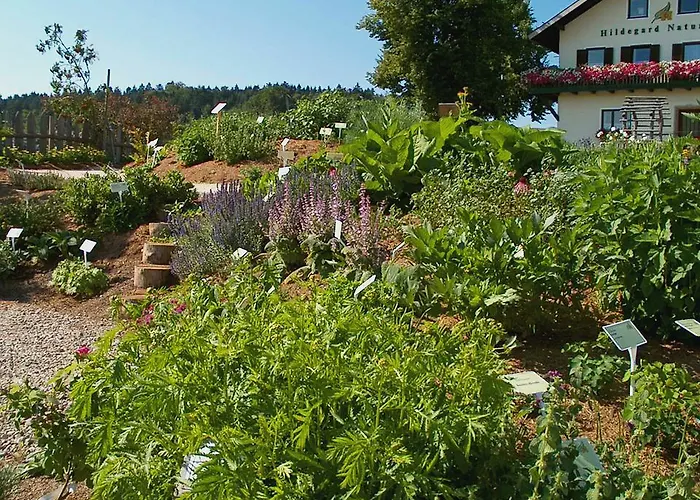 Hildegard Naturhaus Kirchberg bei Mattighofen