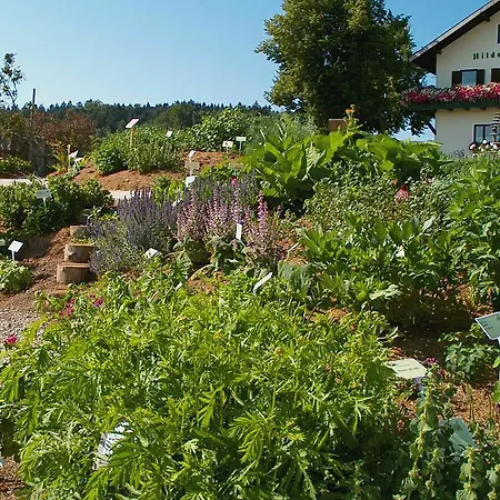 Hildegard Naturhaus Kirchberg bei Mattighofen